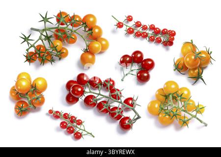 Winzige Kirschtomaten, verschiedene Sorten (Pachino, Ciliegini, Johannisbeere), Blick von oben. Beschneidungspfade für jedes Objekt, Schatten getrennt Stockfoto