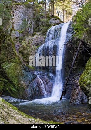 Schöne Frühlingswanderung zum Niedersonthofen Wasserfall durch den Falltobel bei Niedersonthofen im Allgau Stockfoto