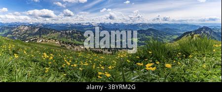 Bergtour über die Brunnenauscharte zum Hochgrat auf der Nagelfluhkette im Allgau Stockfoto