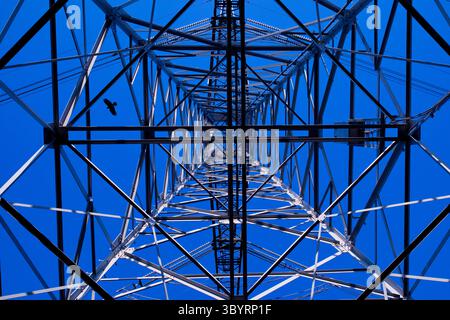 Dramatische Low-Winkels-Perspektive eines Hochspannungsturms aus Stahlgitter vor einem leuchtend blauen Himmel, der industrielle Geometrie und Leistung zeigt. Stockfoto