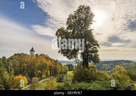 Fantastische Herbstwanderung entlang des Aachtobel zur Hohenbodman Beobachtung Turm in der Nähe des Bodensees Stockfoto