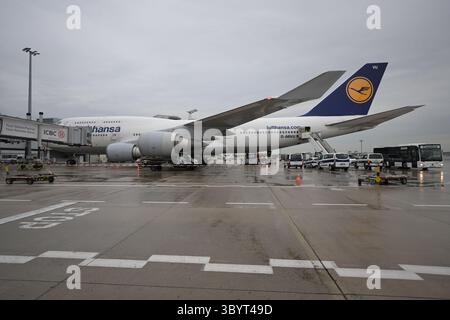 Oktober 2023, FRANKFURT, Berlin, Deutschland: Frankfurt (Deutschland), 12.10.2023.- Ein Lufthansa Boeing 747 Jumbo-Jet aus Tel Aviv parkt am Flughafen Frankfurt am Main am 12. Oktober 2023. Lufthansa startete nach der Eskalation des israelisch-palästinensischen Konflikts Sonderflüge mit deutschen Staatsbürgern aus Israel. Tausende Israelis und Palästinenser sind gestorben, seit die militante Gruppe Hamas am 07. Oktober 2023 einen beispiellosen Angriff auf Israel aus dem Gazastreifen gestartet hat, der zu israelischen Vergeltungsangriffen auf die palästinensische Enklave führte. (Alemania) (Bild Des Kredits: Stockfoto