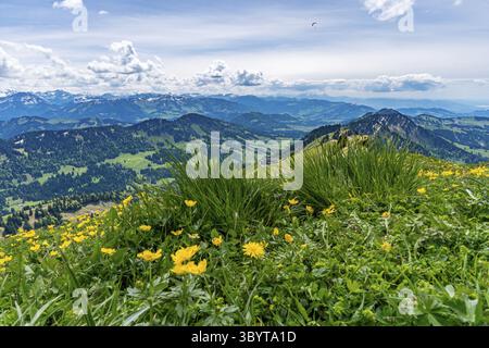 Bergtour über die Brunnenauscharte zum Hochgrat auf der Nagelfluhkette im Allgau Stockfoto