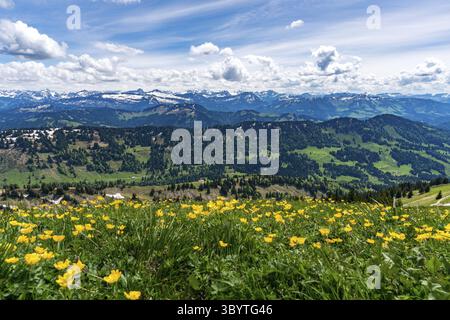Bergtour über die Brunnenauscharte zum Hochgrat auf der Nagelfluhkette im Allgau Stockfoto