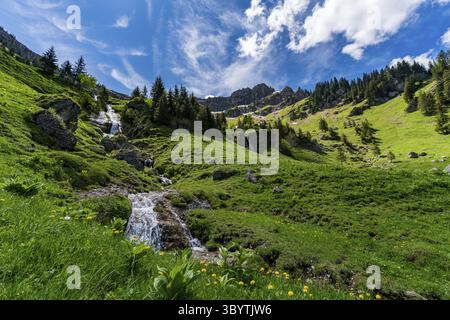 Bergtour über die Brunnenauscharte zum Hochgrat auf der Nagelfluhkette im Allgau Stockfoto
