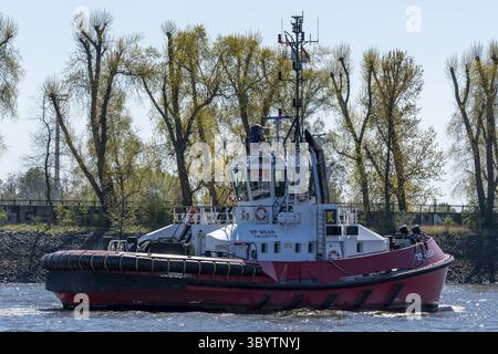 Schlepper ZP Bär in der alten roten Lackierung an der Elbe, Arbeitsboot mit robustem Kotflügelsystem, im Hintergrund Uferbereich mit Laubbäumen, Hamburg harb Stockfoto