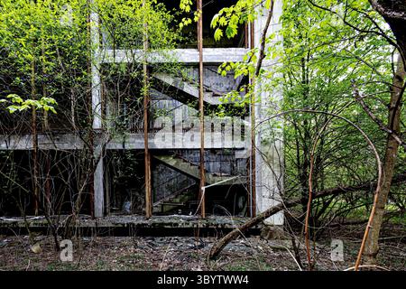5. Mai 2023, Pripyat, Kiew Oblast, Ukraine: Die Natur überholt ein verlassenes Wohnhaus in Pripyat. 1979 wurde Pripyat offiziell zur Stadt erklärt und hatte 49.360 Einwohner, als es am Nachmittag des 27. April 1986, einen Tag nach der Katastrophe von Tschernobyl, evakuiert wurde. (Foto: © Gabriel Romero/ZUMA Press Wire) Stockfoto