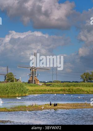 Ein typisch niederländisches Bild einer Polderlandschaft mit Windmühlen und Vögeln an einem bewölkten, aber sonnigen Tag. Stockfoto