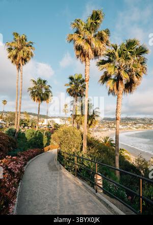 Pfad und Palmen auf Klippen am Heisler Park, Laguna Beach, Orange County, Kalifornien Stockfoto