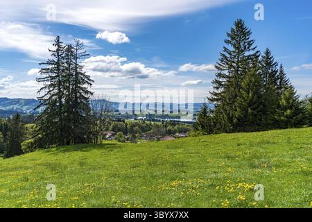 Schöne Wanderung entlang des Rottachsees mit Schluchtweg zur Burgkranzegg Ruine im Allgau Stockfoto