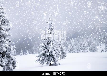 Magische gefrorene Winterlandschaft mit schneebedeckten Tannen Stockfoto