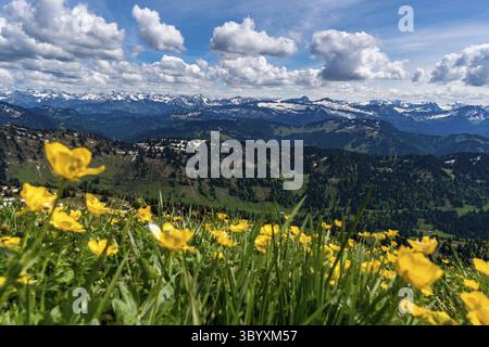 Bergtour über die Brunnenauscharte zum Hochgrat auf der Nagelfluhkette im Allgau Stockfoto