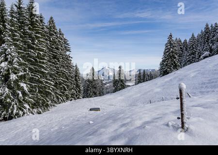 Anspruchsvolle Schneeschuhtour zum Tennenmooskopf auf der Nagelfluhkette in den Allgauer Alpen Stockfoto