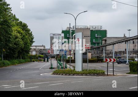 Ajinomoto Omnichem, pharmazeutische Labors und Fabrik in Wetteren, Ostflandern, Belgien, 5. Juli 2025 Stockfoto Ajinomoto Omnichem, pharmazeutische Labors und Fabrik in Wetteren, Ostflandern, Belgien, 5. Juli 2025 Stockfoto
