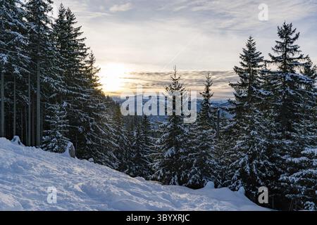 Winterwunderland in den bayerischen Allgauer Alpen bei Sonnenuntergang bei einer verschneiten Wanderung mit Kiefern Stockfoto