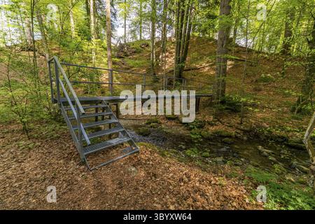 Schöne Wanderung entlang des Rottachsees mit Schluchtweg zur Burgkranzegg Ruine im Allgau Stockfoto