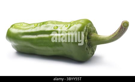 Friggitello, ein einziger toskanischen oder Griechisch milden Pfeffer, genannt Peperoncino in den USA (Capsicum Annuum). Schneidepfad, Schatten getrennt Stockfoto