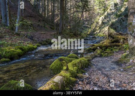 Schöne Frühlingswanderung zum Niedersonthofen Wasserfall durch den Falltobel bei Niedersonthofen im Allgau Stockfoto