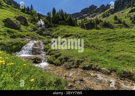 Bergtour über die Brunnenauscharte zum Hochgrat auf der Nagelfluhkette im Allgau Stockfoto