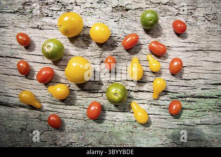 Rote, gelbe und grüne Kirschtomaten Stockfoto