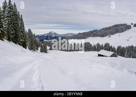 Anspruchsvolle Schneeschuhtour zum Tennenmooskopf auf der Nagelfluhkette in den Allgauer Alpen Stockfoto
