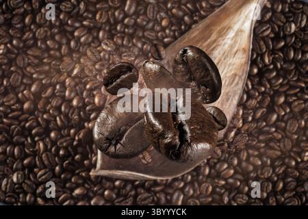 Fallende Kaffeebohnen Konzept, Nahaufnahme von frisch gerösteten Kaffeebohnen, die auf dunklem Hintergrund fliegen Stockfoto