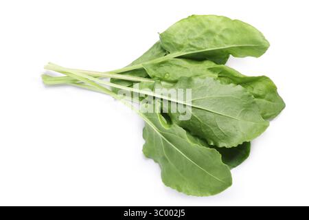 Bündel frischer Sauerampfer (Rumex acetosa) Topf Kraut. Beschneidungspfade, Schatten getrennt, Ansicht von oben Stockfoto