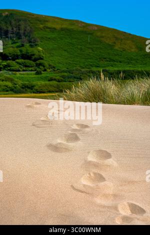 Fußabdrücke auf einem einsamen Pfad über sonnengewärmte Sanddünen zu grünen Hügeln unter azurblauem Himmel Stockfoto
