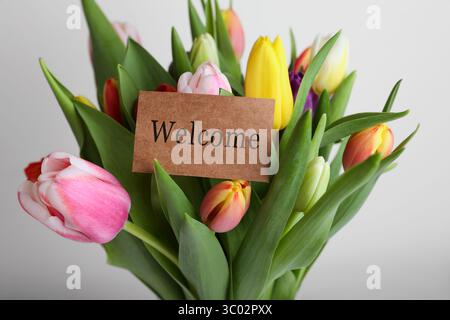 Willkommenskarte und Tulpenstrauß auf hellgrauem Hintergrund, Nahaufnahme Stockfoto