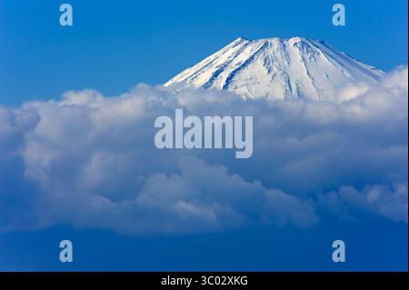 Der schneebedeckte Fuji (auch bekannt als fujisan oder fujiyama) erhebt sich hoch über den Wolken vor einem klaren blauen Himmel, der vom Komagatake in Hakone aus gesehen wird. Stockfoto