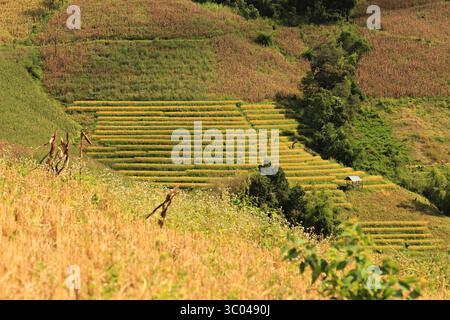 Wunderschöne Landschaft der Reisfelder auf Terrassen von Ban Pa Pong Piang, Mae Chaem, Provinz Chiang Mai, Thailand Stockfoto