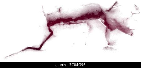 Ein detailliertes mikroskopisches Bild, das das komplizierte Netzwerk roter verzweigter Blutgefäße in einem blassen, strukturierten biologischen Gewebe zeigt. Stock Vektor