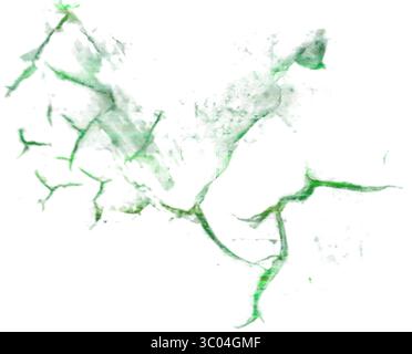 Ein detailliertes mikroskopisches Bild, das das komplizierte Netzwerk roter verzweigter Blutgefäße in einem blassen, strukturierten biologischen Gewebe zeigt. Stock Vektor