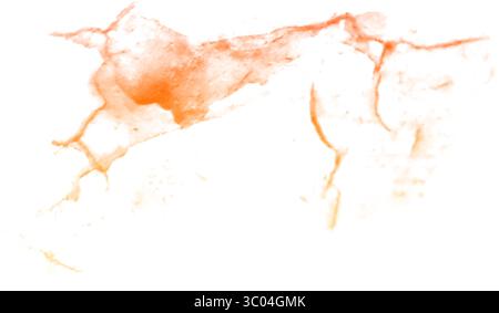 Ein detailliertes mikroskopisches Bild, das das komplizierte Netzwerk roter verzweigter Blutgefäße in einem blassen, strukturierten biologischen Gewebe zeigt. Stock Vektor