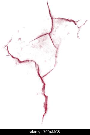 Ein detailliertes mikroskopisches Bild, das das komplizierte Netzwerk roter verzweigter Blutgefäße in einem blassen, strukturierten biologischen Gewebe zeigt. Stock Vektor