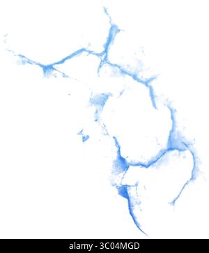 Ein detailliertes mikroskopisches Bild, das das komplizierte Netzwerk roter verzweigter Blutgefäße in einem blassen, strukturierten biologischen Gewebe zeigt. Stock Vektor