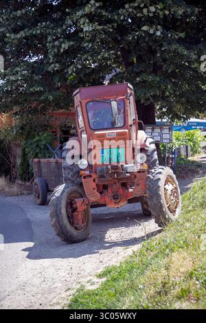 Alter roter IMT-Traktor mit Anhänger, der an einem sonnigen Sommertag an einer Landstraße unter einem Baum im Dorf Vrdnik, Vojvodina, Serbien, geparkt wurde Stockfoto