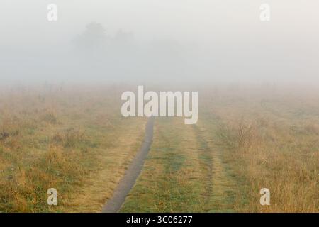 Schmaler Feldweg schlängelt sich durch ein nebelbedecktes Grasfeld mit goldenen Tönen und schafft eine friedliche und stimmungsvolle Herbstvormittagsszene. Stockfoto