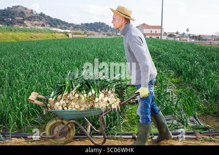 Ein Bauer trägt einen Strohhut mit Schubkarre Stockfoto