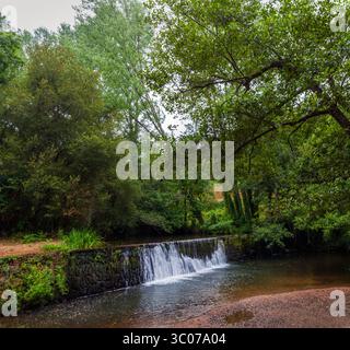 Eine ruhige Waldszene bietet einen kleinen Wasserfall, der über einen Steindamm fällt, umgeben von üppigem Grün und einem ruhigen Wasserweg Stockfoto