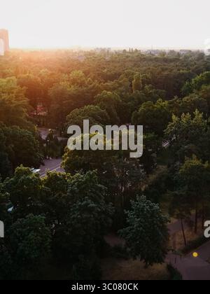 Untergehende Sonne über dem Park - aus der Vogelperspektive. Grüne Bäume in untergehenden Sonnenstrahlen, großer Park am Stadtrand. Stockfoto