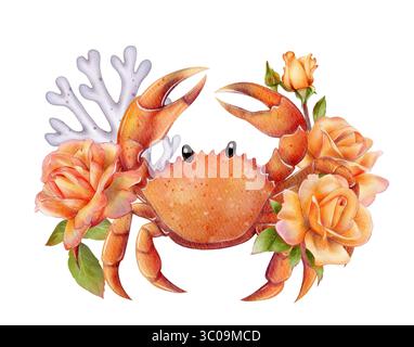 Helle Komposition mit fröhlicher Orangenkrabbe, blühenden Orangenrosen und lila Korallenzweigen. Aquarellzeichnung auf weißem Hintergrund. Perfekt für Sum Stockfoto