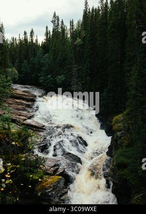 Wasserfall im Ansätten Canyon, der durch üppige Kiefernwälder stürzt Stockfoto