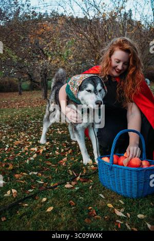 Rotkäppchen, die Äpfel pflücken mit alaskischem Malamute-Hund Stockfoto