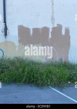 Downtown Nashville, Tennessee, zeigt Skyline der Stadt, Straßen, Graffiti, Street Art und Architektur; fotografiert während des Besuchs von Five Points Einheimischen. Stockfoto