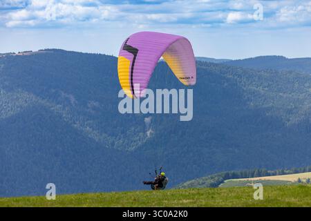Blick auf einen Gleitschirmflieger, der über die üppigen grünen Hügel schwingt, mit einem Hintergrund majestätischer Berge unter einem blauen Himmel, Oderen, Grand Est, Frankreich. Stockfoto