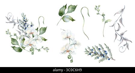 Weiße Orchideen, Eukalyptus und wacholder in Pastelltönen Aquarell Clipart isoliert. Blumenset Nadelzweig, weiße Blumen handgezeichnet. Grün Stockfoto