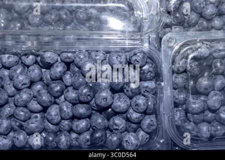 Heidelbeeren in gestapelten Kunststoffbehältern auf einer Holzoberfläche mit einem unscharfen natürlichen Hintergrund, der Frische und Textur hervorhebt Stockfoto