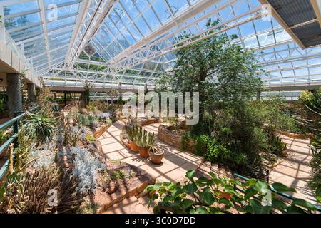 4. Januar 2018 - Kapstadt, Westkap, Südafrika - Ein Gewächshaus in den Kirstenbosch Botanical Gardens in Kapstadt, Südafrika (Bild: © Edwin Remsberg / Vwpics/VW Pics Via ZUMA Wire) Stockfoto