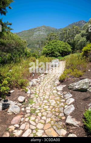 4. Januar 2018 – Kapstadt, Westkap, Südafrika – Ein Steinweg in den Kirstenbosch Botanical Gardens in Kapstadt, Südafrika (Bild: © Edwin Remsberg / Vwpics/VW Pics Via ZUMA Wire) Stockfoto